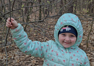 Lenka znalazła oznaki wiosny w lesie Łagiewnickim